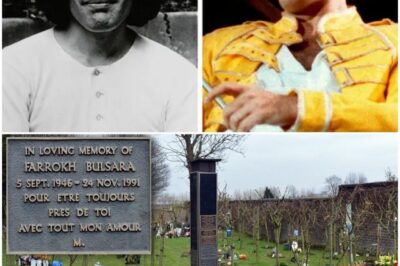 🚨 Excavan la tumba de Freddie Mercury 30 años después: ¡Lo que encontraron te impactará! 💥