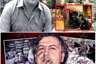 Finalmente se abre la bóveda secreta de Pablo Escobar: lo que encontraron dentro supera la imaginación.