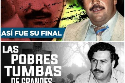 SECRETOS INÉDITOS: las últimas 24 horas de Pablo Escobar “El Patrón”