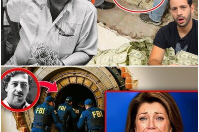 La bóveda secreta de Pablo Escobar finalmente se abrió: lo que encontraron dentro es inimaginable.
